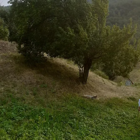 Rrajc Skenderbe Kır Evi *
