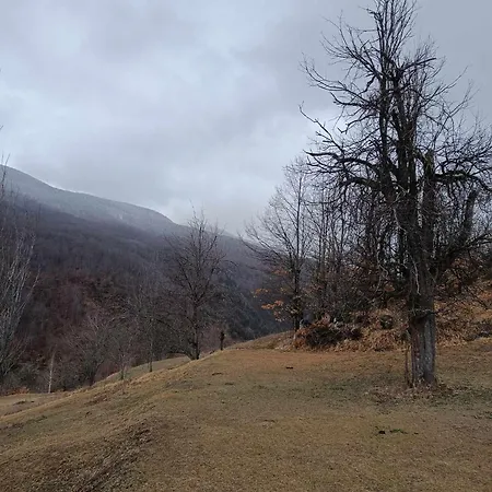 Rrajc Skenderbe Kır Evi *